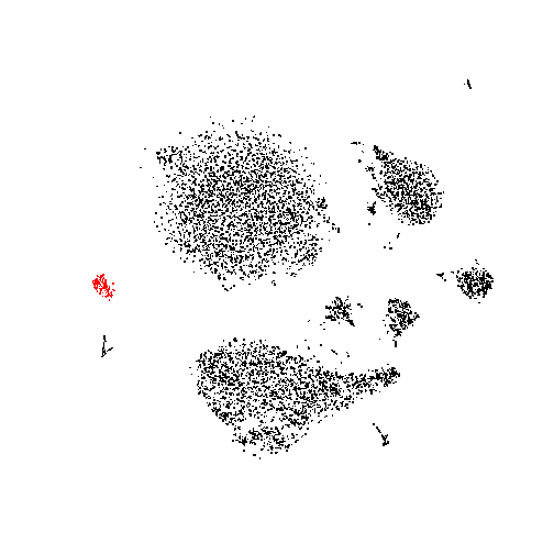 plot of chunk tsne_cluster